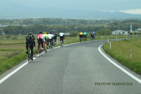 bike_car2