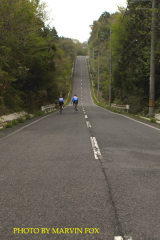 bike_car4