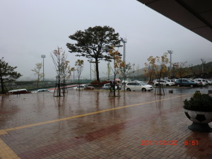 雨天