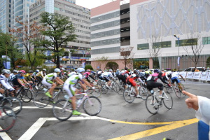 レース